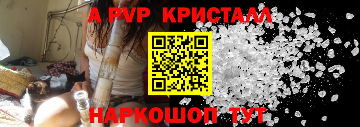 A-PVP СК КРИС Лесосибирск