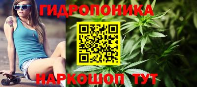 скорость Заводоуковск