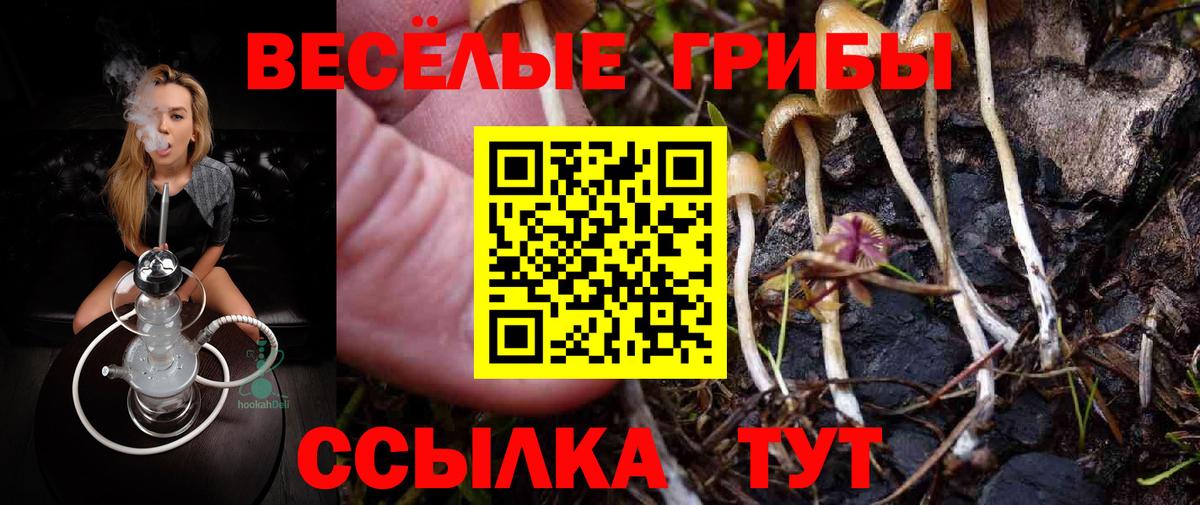 Галлюциногенные грибы прущие грибы Лесосибирск