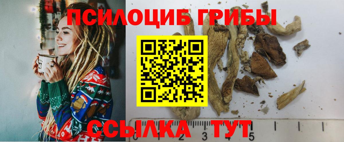 Лесосибирск  Галлюциногенные грибы MAGIC MUSHROOMS  Псилоцибиновые грибы MAGIC MUSHROOMS  Вход с VPN 